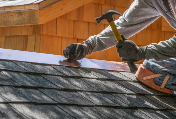Best Chimney Flashing Repair  in Hawkinsville, GA